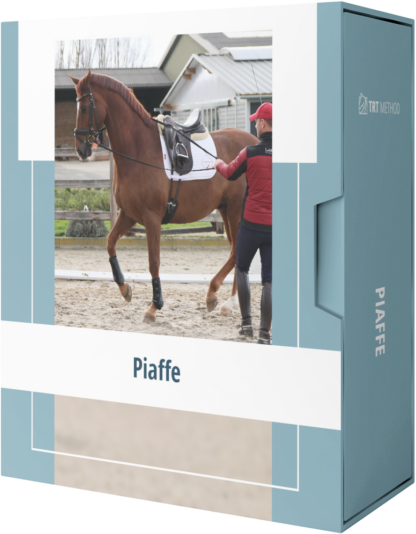 Piaffe course box