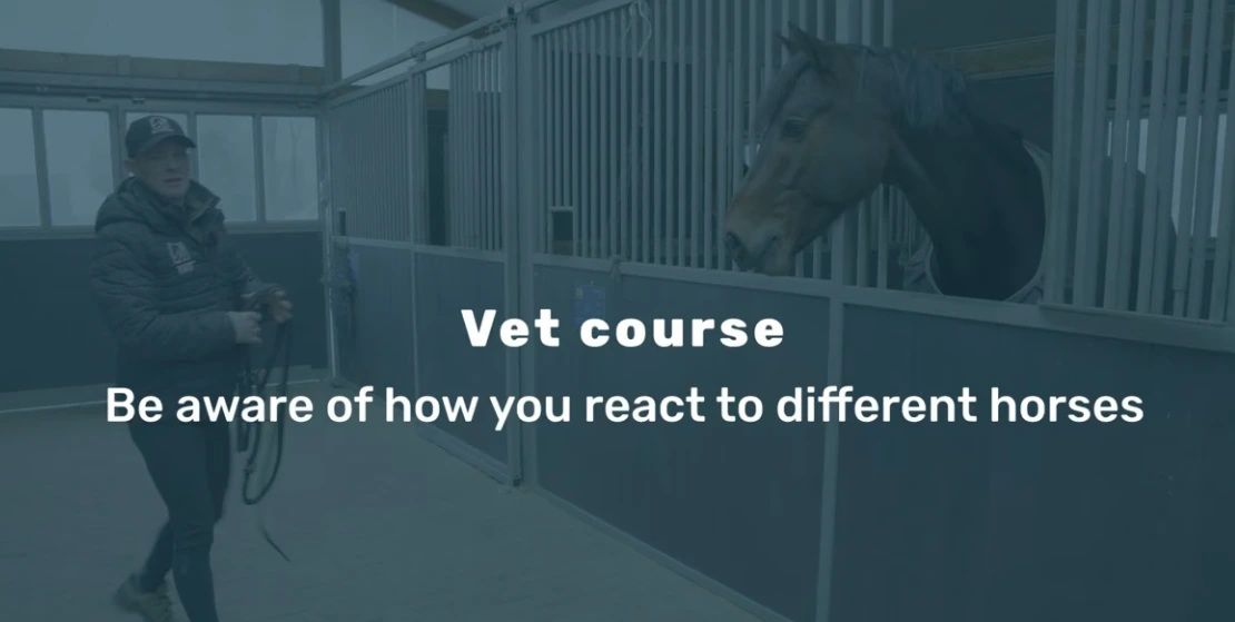 Awareness in handling from the Vet Course