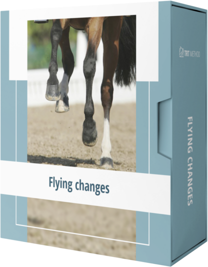 Flying Changes course box