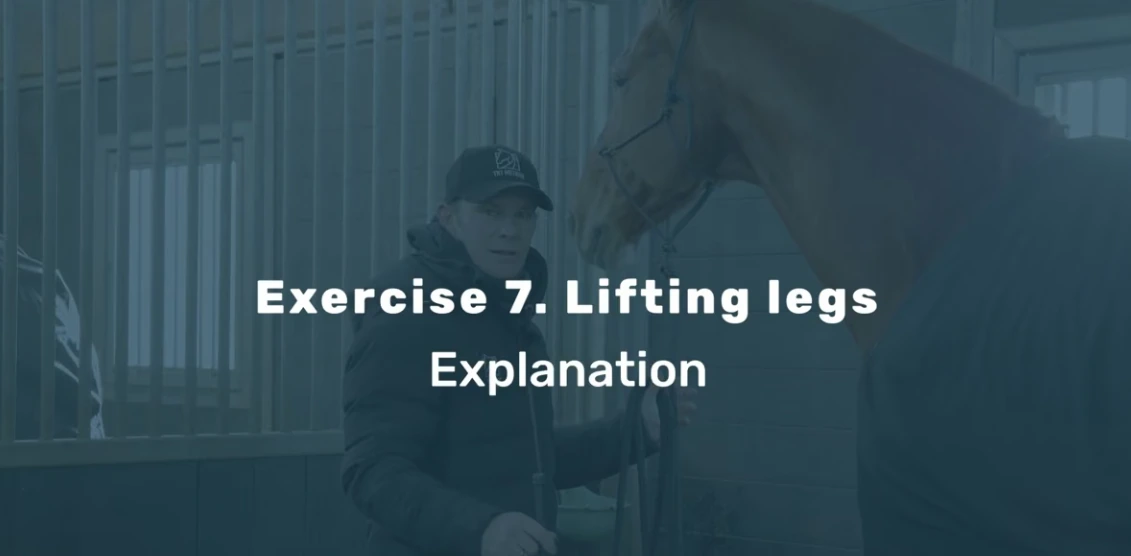 Lifting legs from the Relaxing Stable Exercises