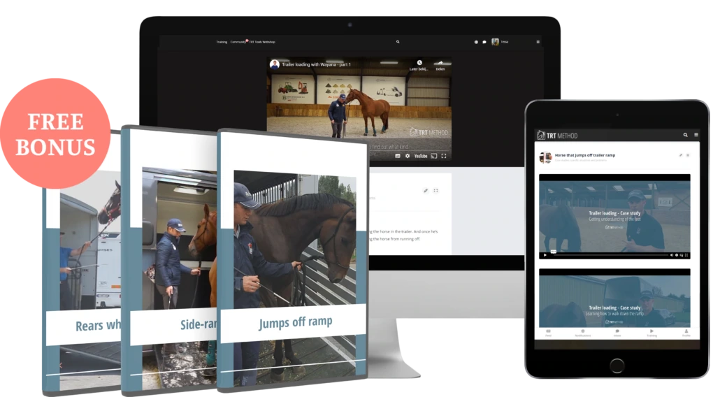 Trailer loading case studies bonus module