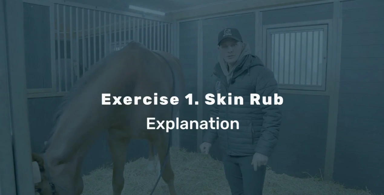 Skin rub from the Relaxing Stable Exercises