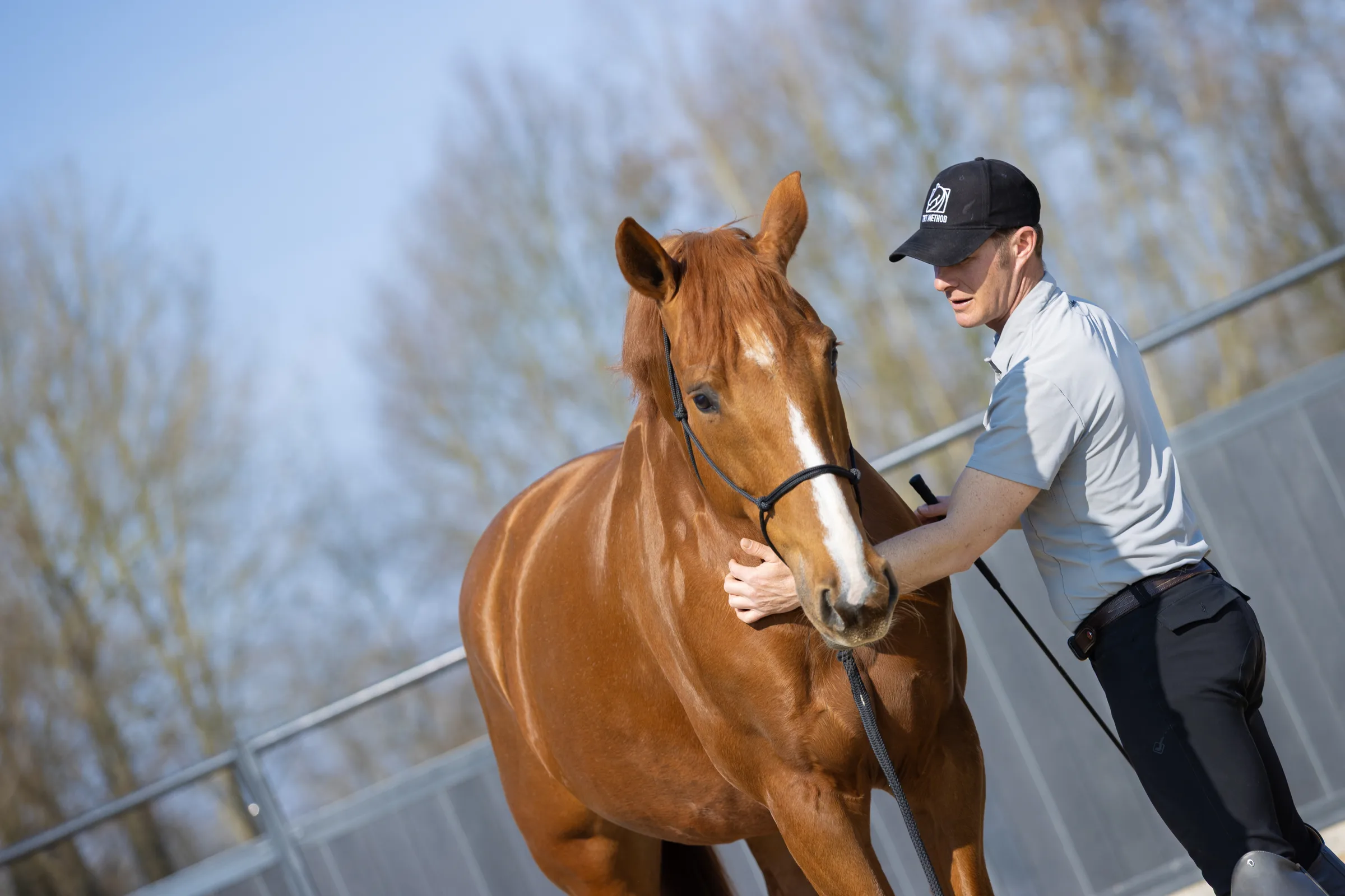 Tristan Tucker working on the ground with a chestnut horse