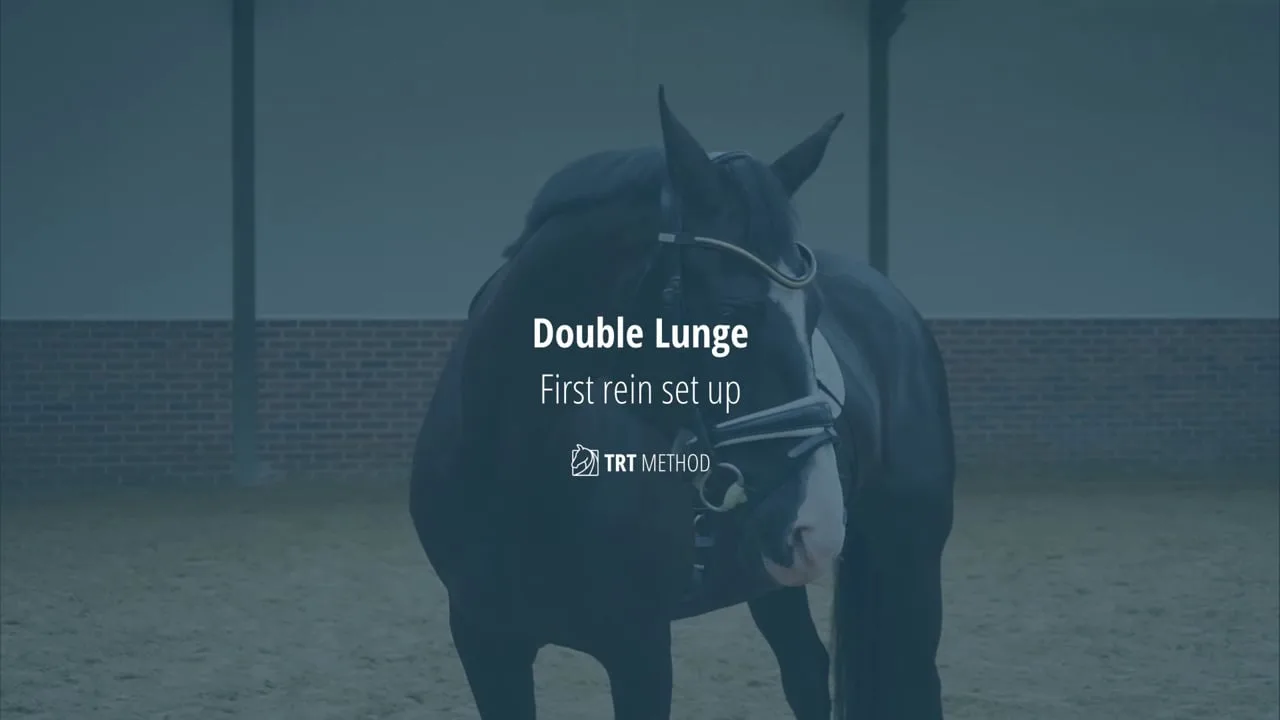 Tristan Tucker showing the first rein set-up for the double lunge