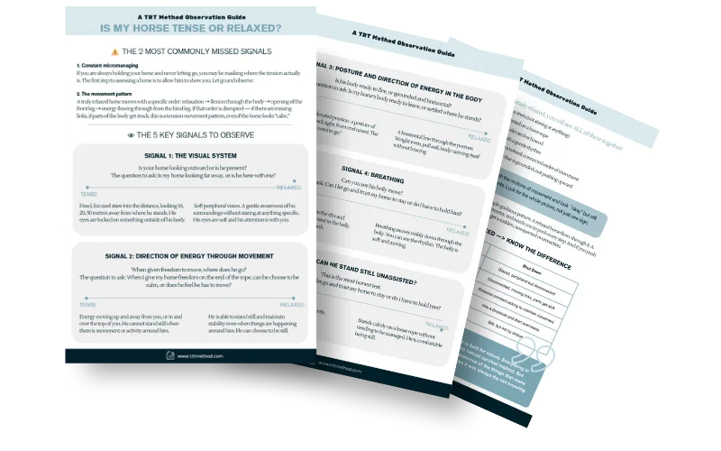Preview of the TRT Observation Guide PDF