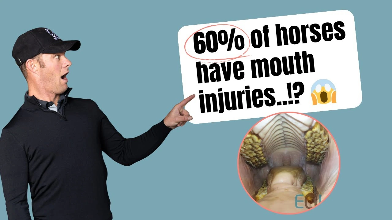 Wouter Demey and Tristan Tucker in TRT The Podcast #14 about the horse’s mouth and chronic pain
