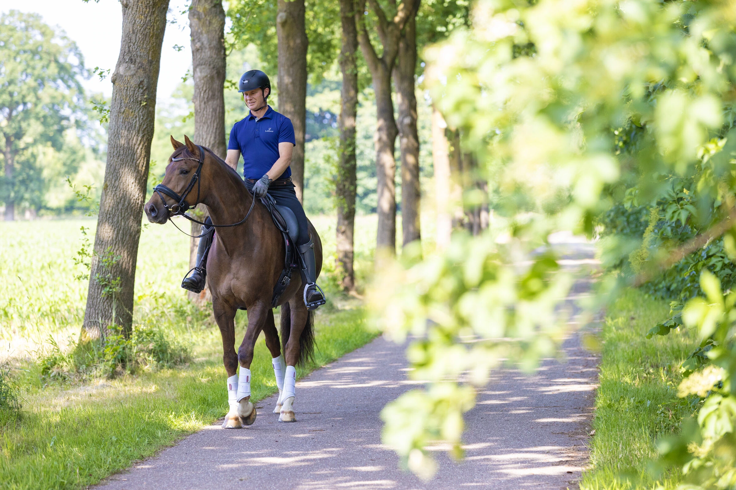 A rider and horse calmly riding along a tree-lined path