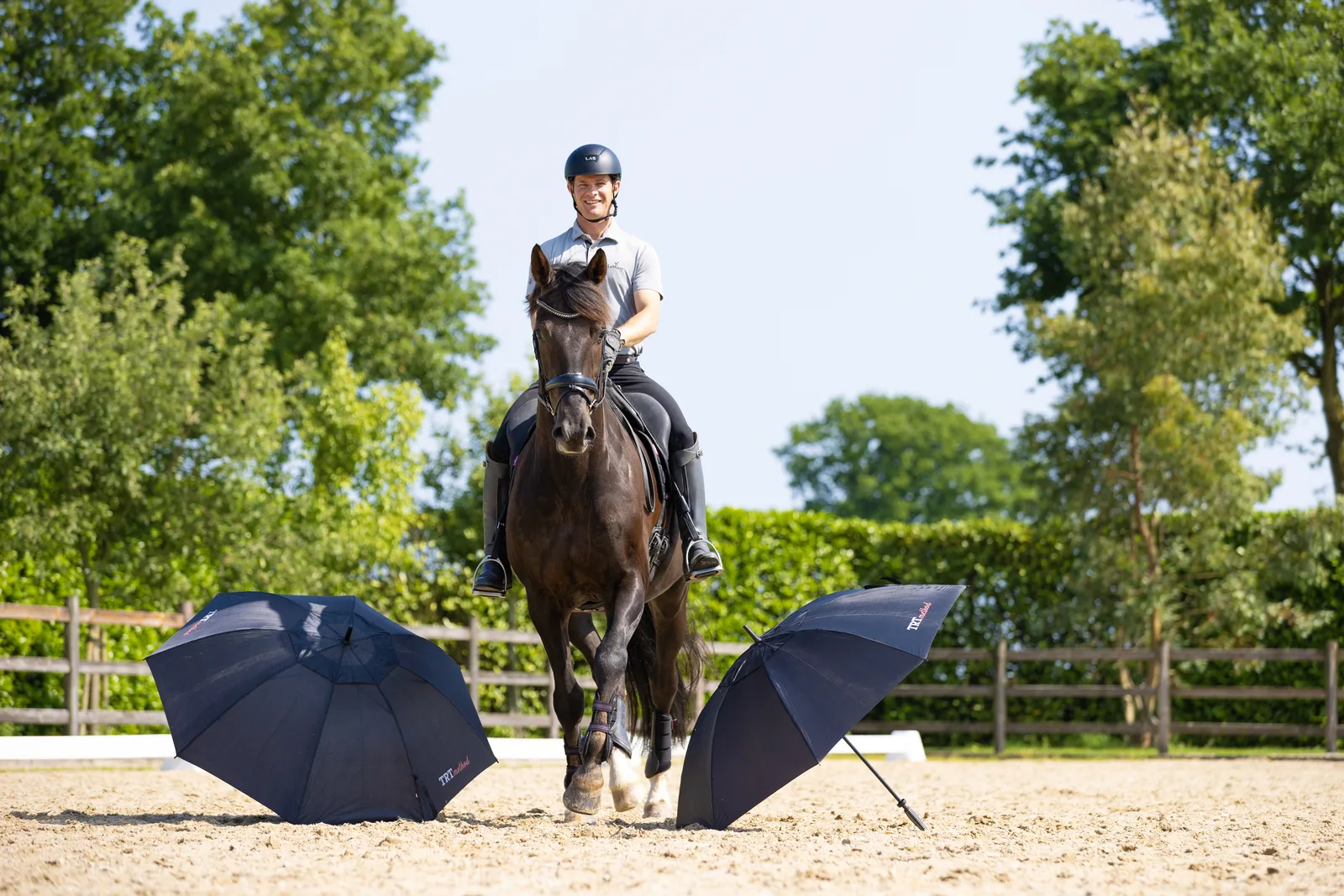 A rider training a horse between TRT umbrellas in the outdoor arena
