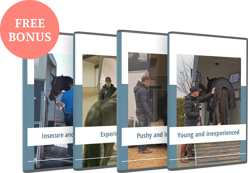 Different types of horses trailer loading bonus module