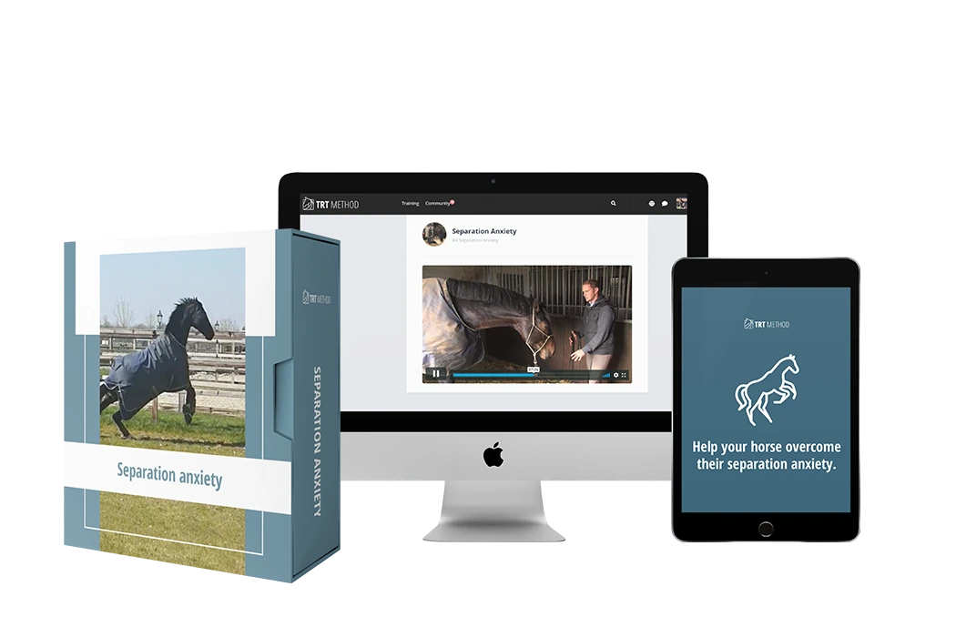 Separation Anxiety digital course shown on desktop, tablet, and course box