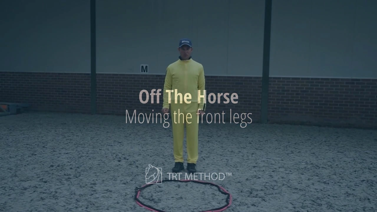 Groundwork Patterns lesson from the Off The Horse Course