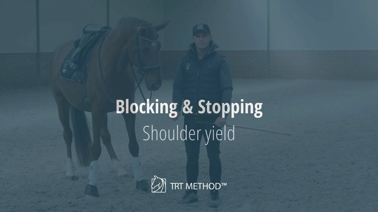 Tristan Tucker teaching Stopping and Blocking Course