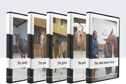 Types of Horses video series: the pushy, the passive, the green, the perfect and the shut-down horse