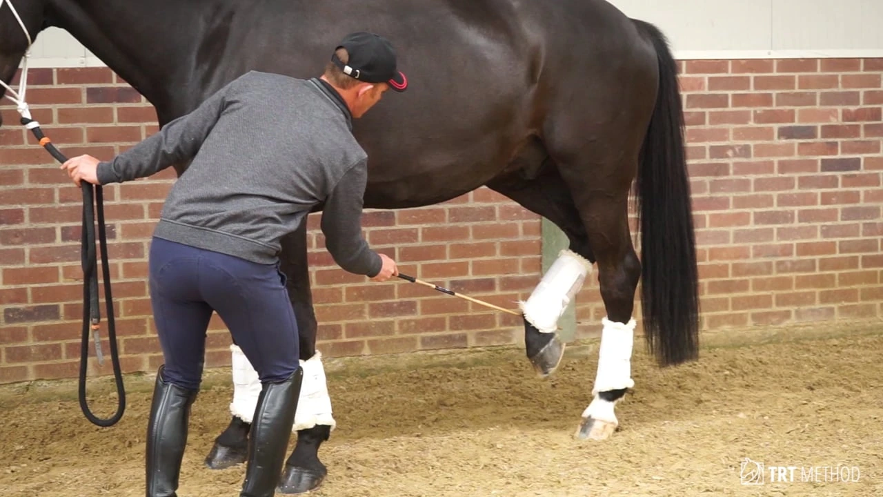 Piaffe Course lesson