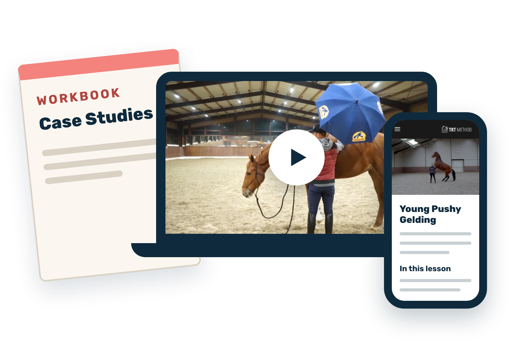 Full Case Studies