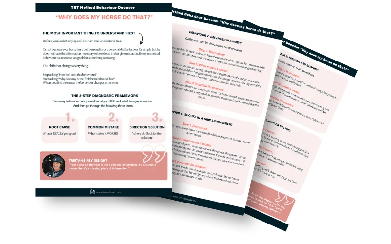 Preview of the TRT Behaviour Decoder PDF