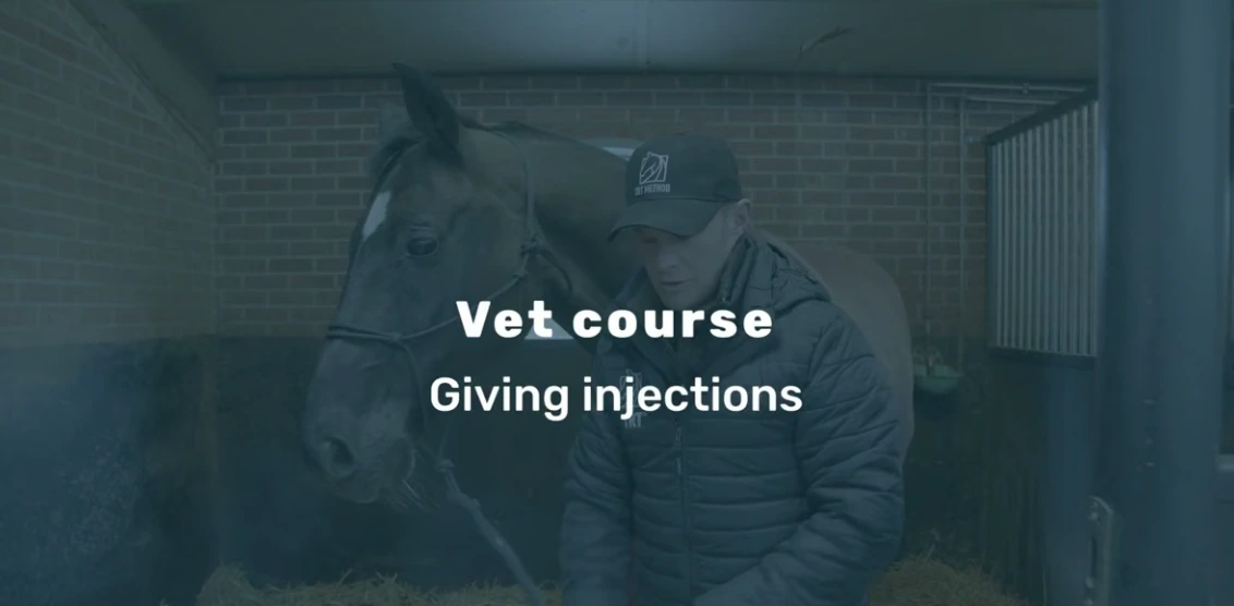 Treatment and follow-through from the Vet Course