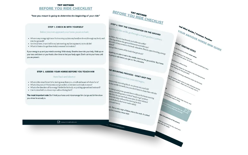 Preview of the Before You Ride Checklist PDF