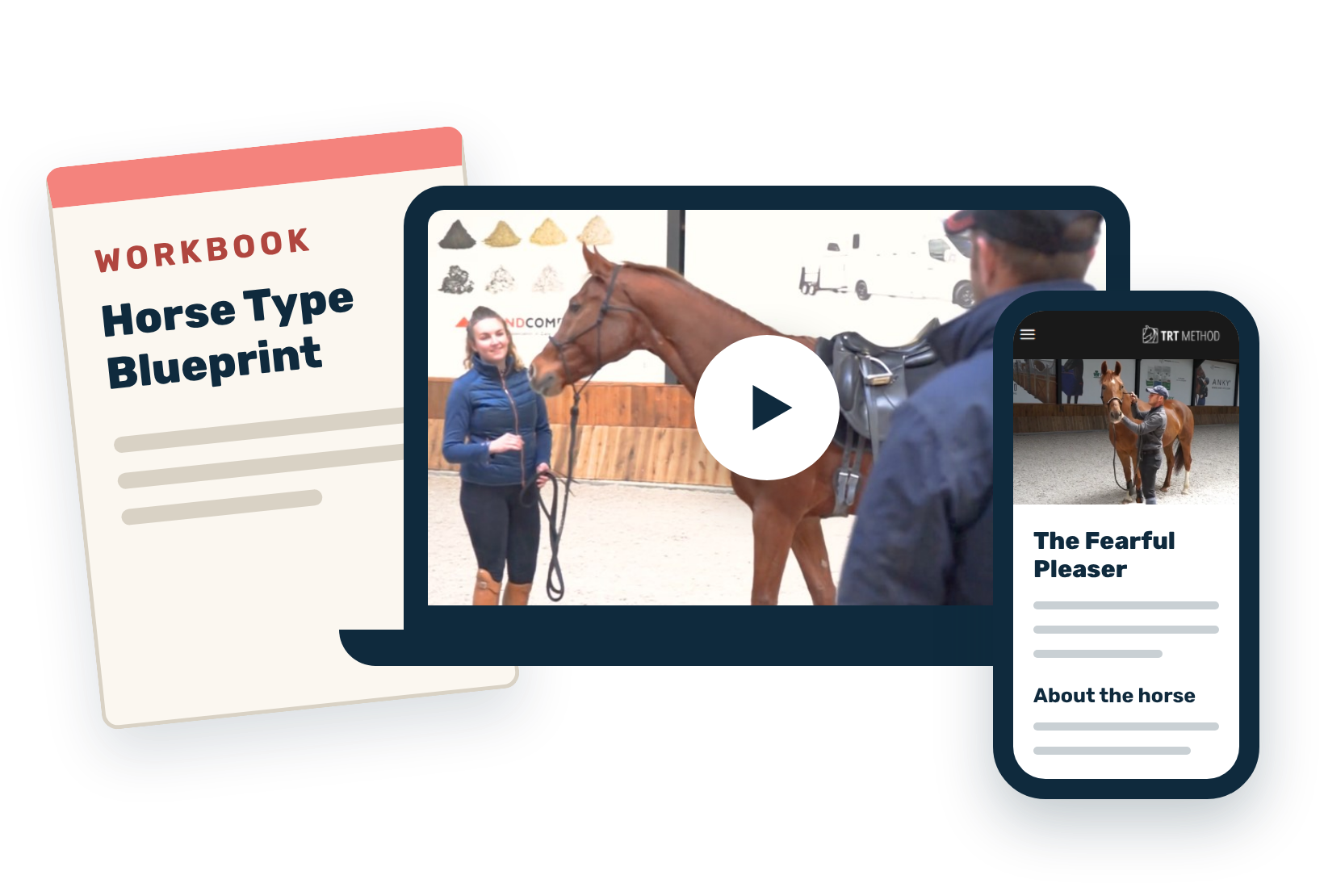 The Horse Type Blueprint