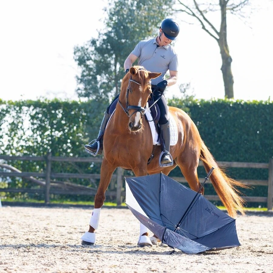 Riding a relaxed horse