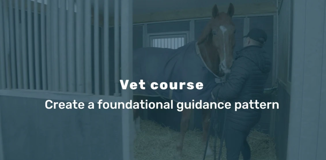 Foundational guidance from the Vet Course