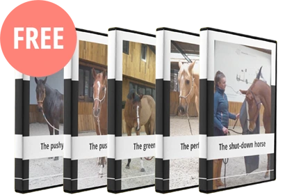 The Horse Type Blueprint