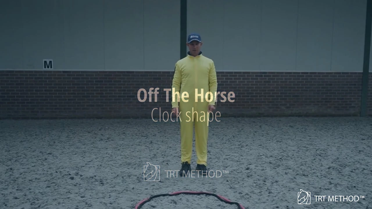 With a Partner lesson from the Off The Horse Course