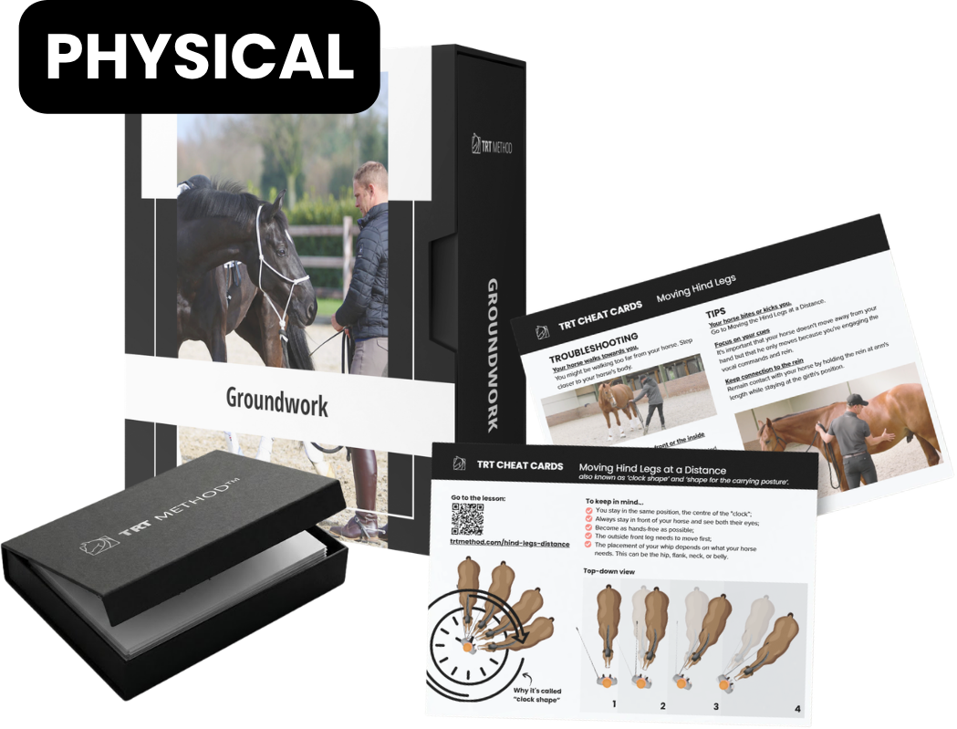 The physical + digital Exercise Bundle: Module 1 Groundwork course with printed TRT Cheat Cards and storage box