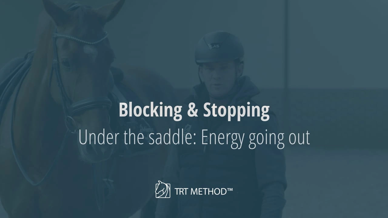 Tristan Tucker teaching Stopping and Blocking Course