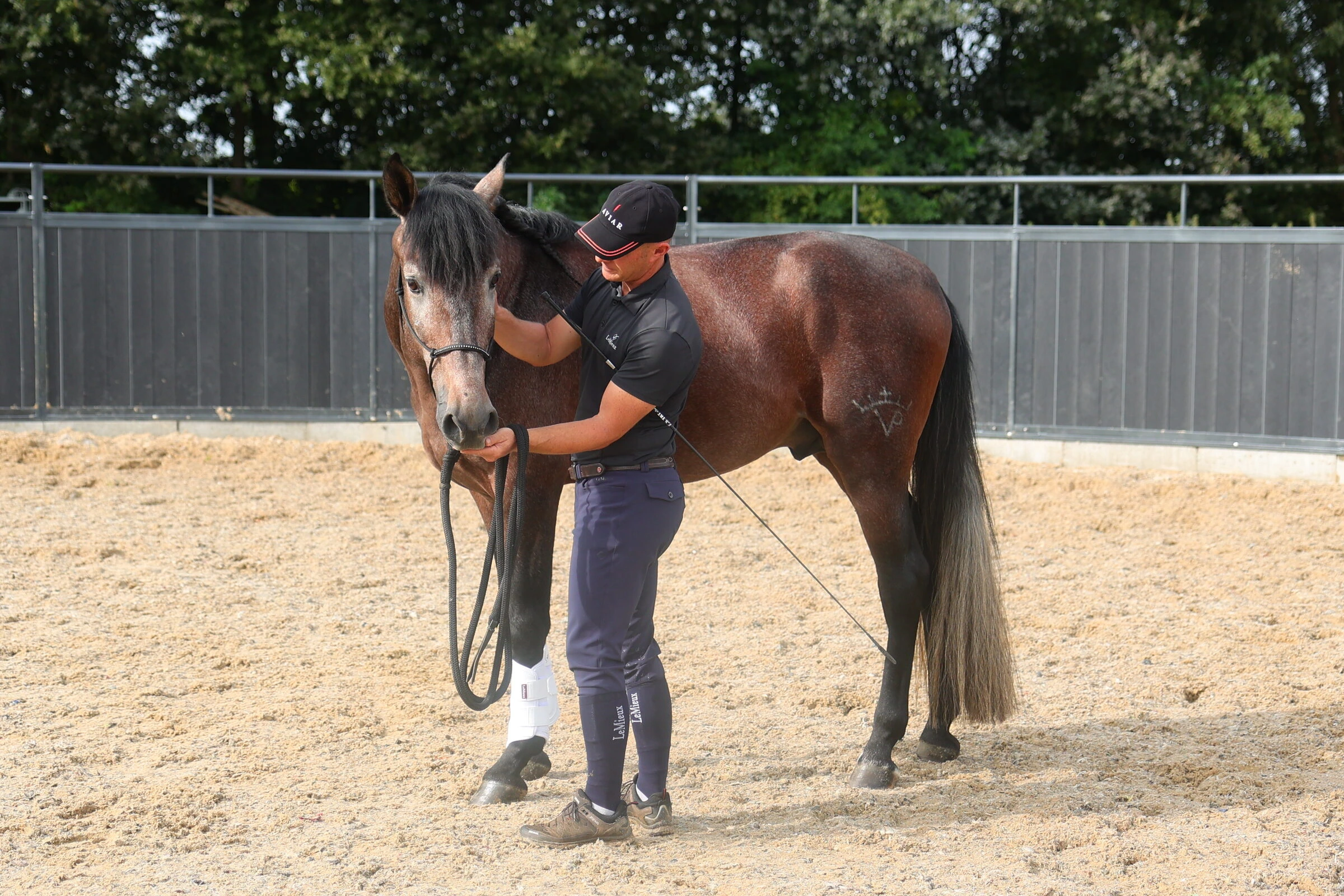 Tristan working calmly with a horse from the ground in an arena