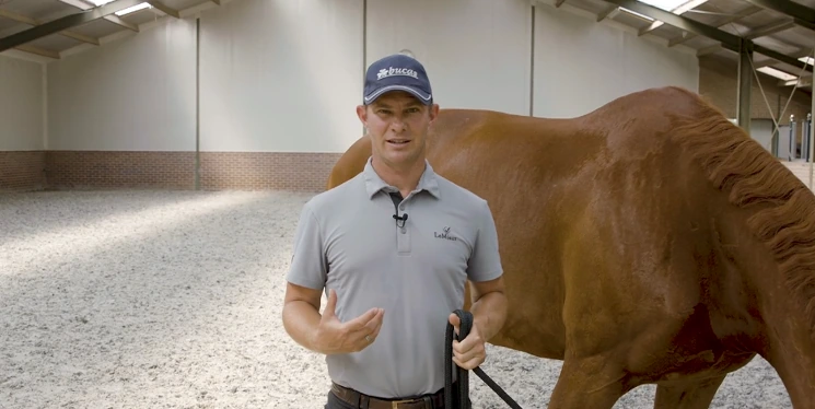 Effect on different types of horses lesson from the Master Your Mindset Course