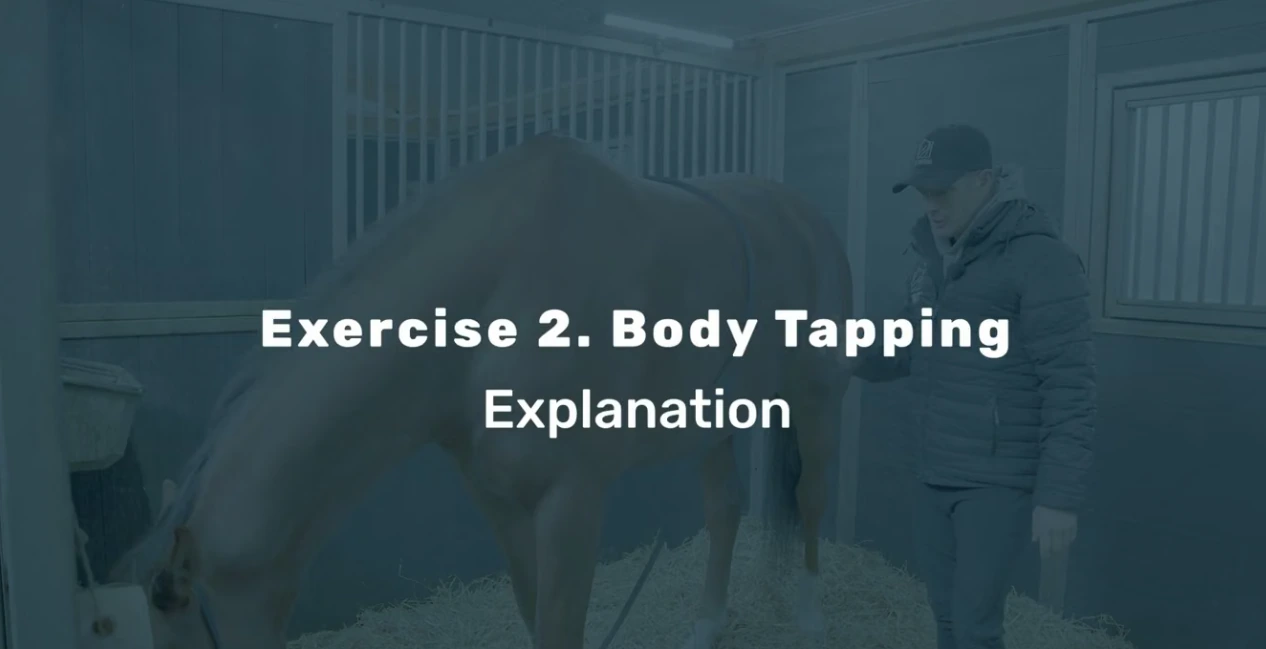 Body tapping from the Relaxing Stable Exercises