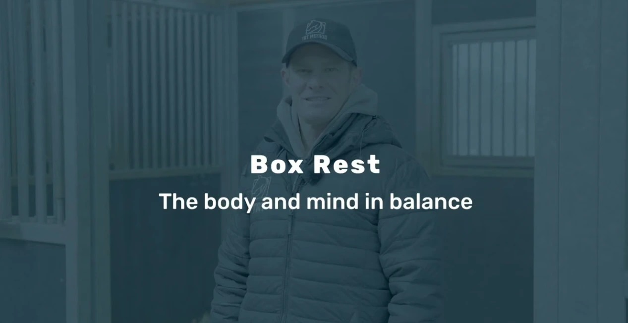 Start here from the Relaxing Stable Exercises