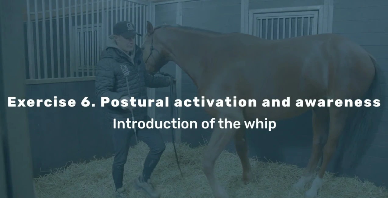 Postural activation and awareness from the Relaxing Stable Exercises