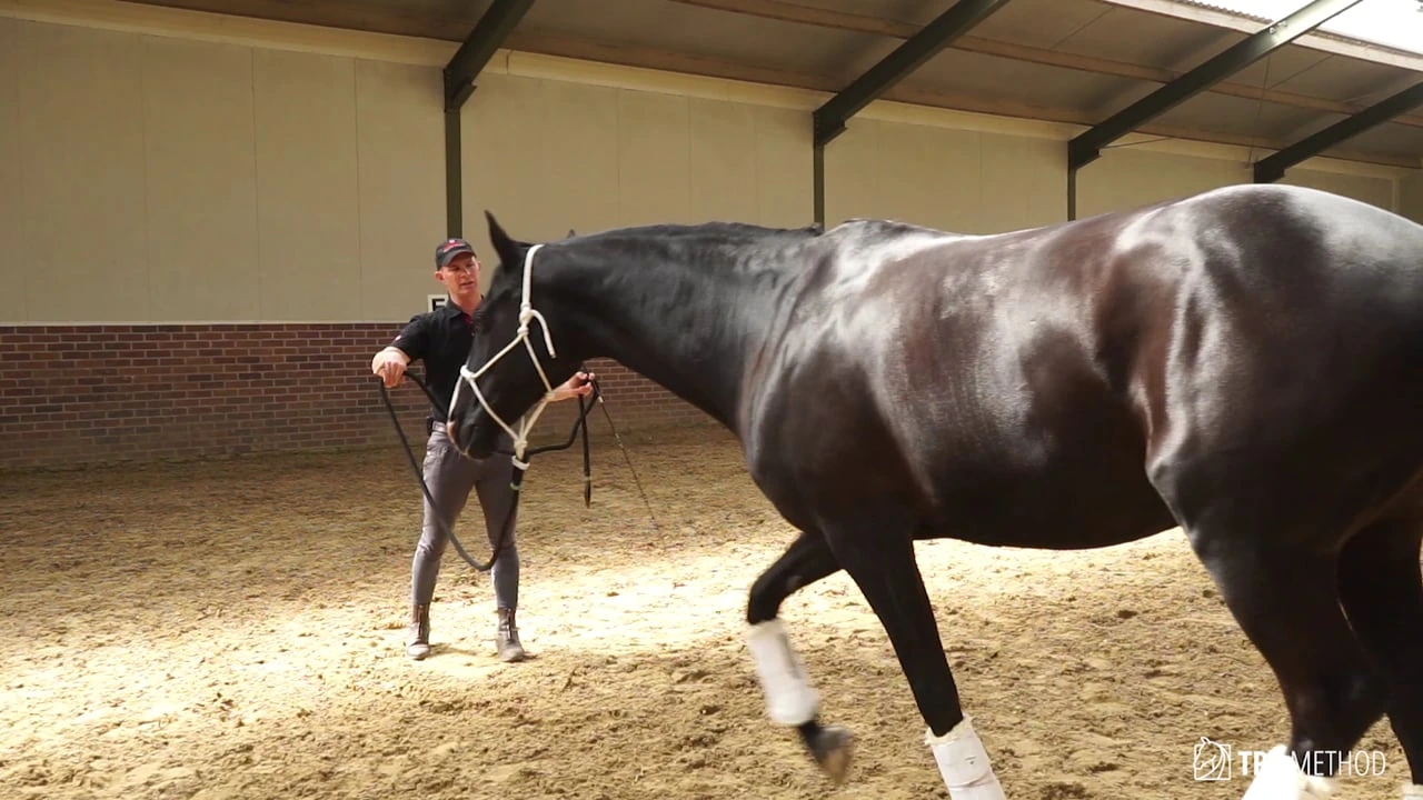 Piaffe Course lesson