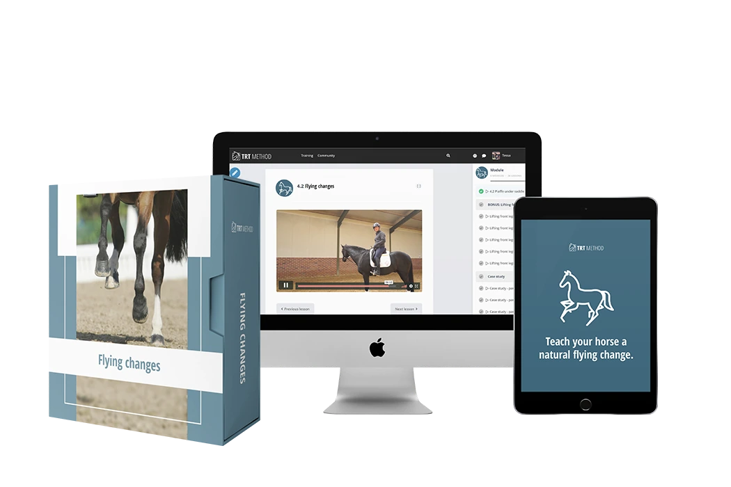 Flying Changes Course digital package