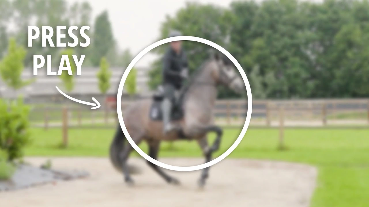 Tristan Tucker demonstrating how to guide a horse past a scary object