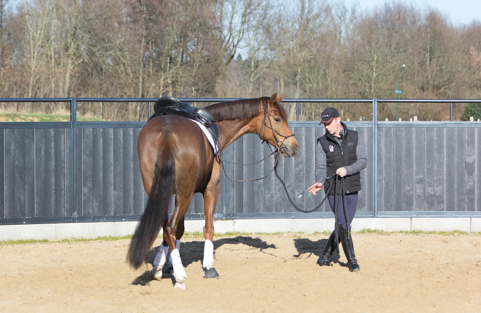 Establishing a connection with different horse types