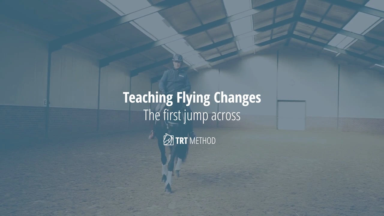 Flying Changes Course lesson