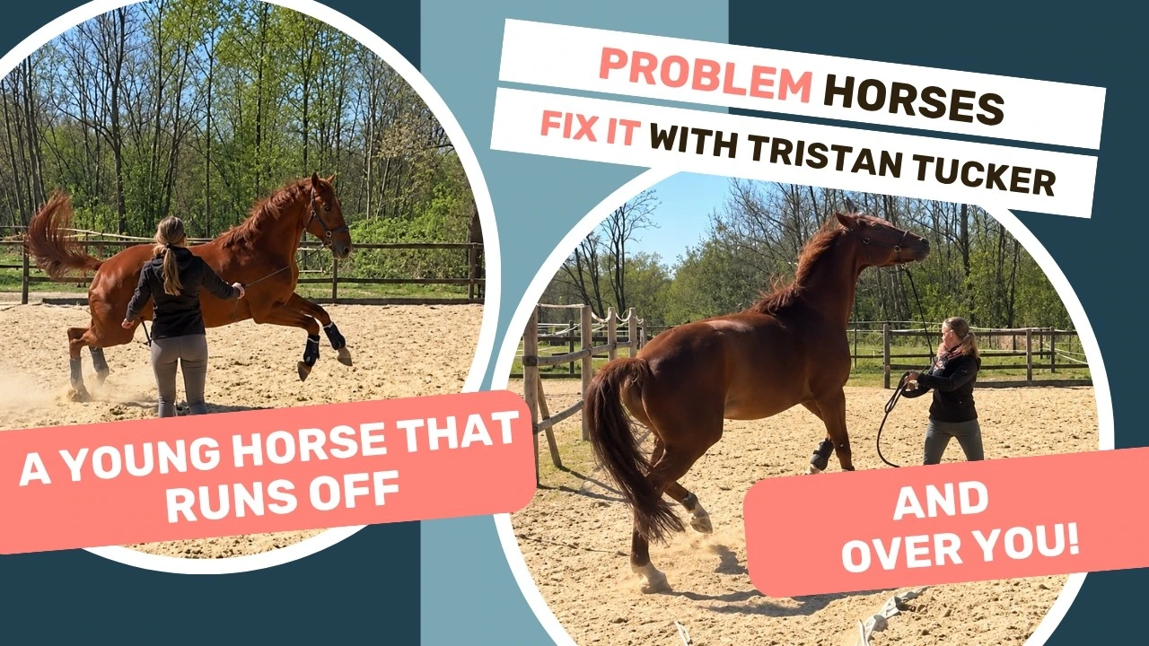Tristan Tucker’s Problem Horses Explained episode about a young horse running off or over the handler