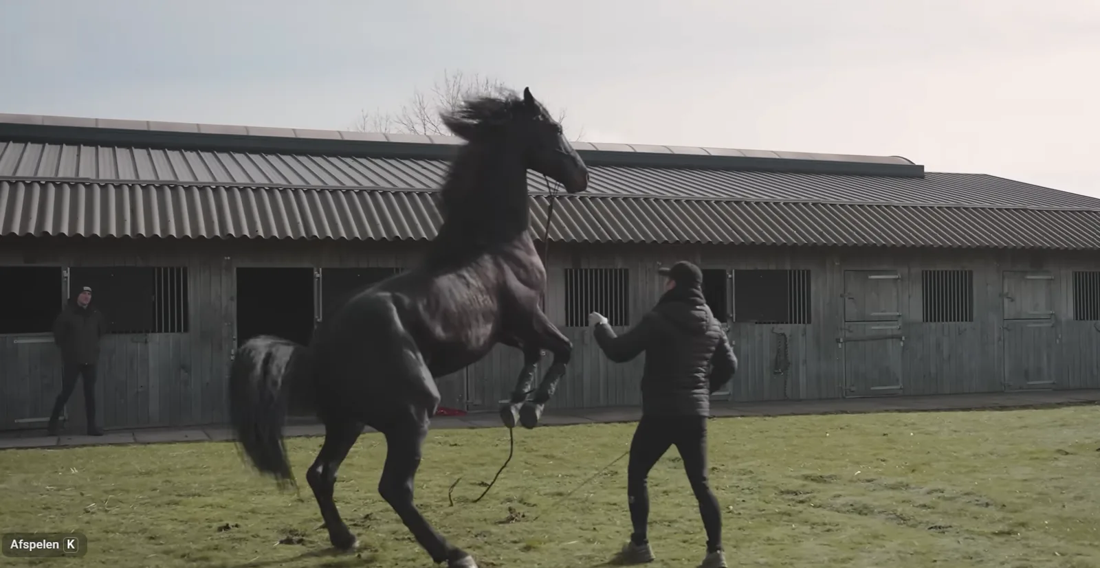 Tristan Tucker working with a rearing black horse in front of the stables