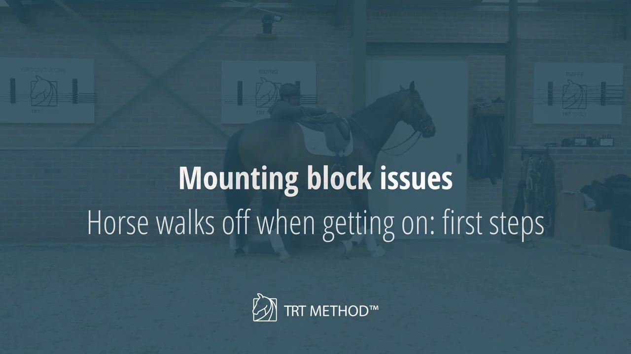 Tristan Tucker teaching Mounting Issues Course