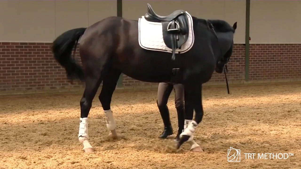 The pattern with the saddle lesson