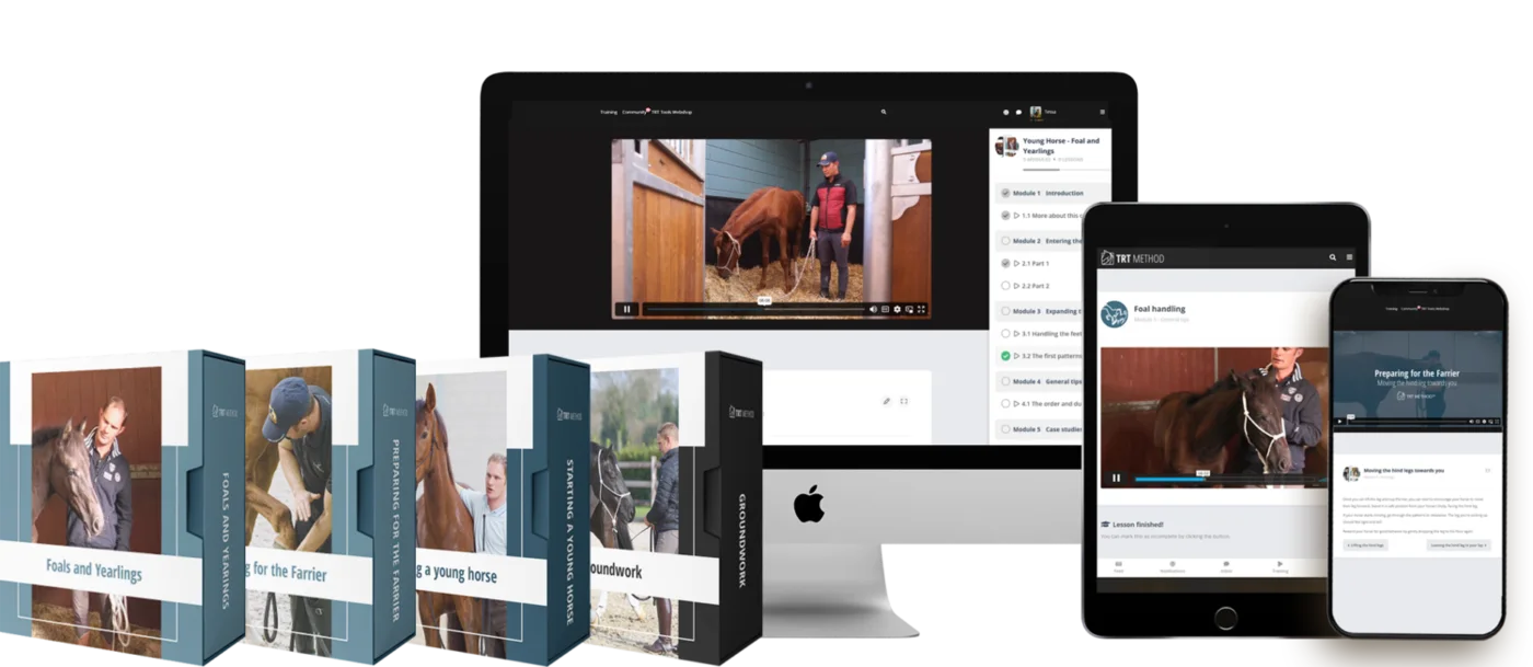 Starting Young Horse Course shown on a computer and tablet with the course box