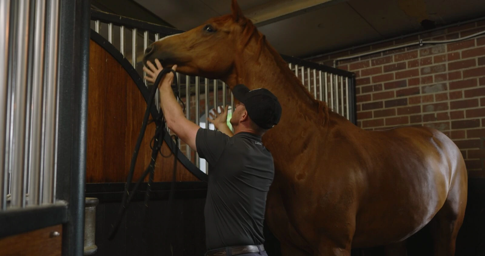 Going In and Out of the Stable