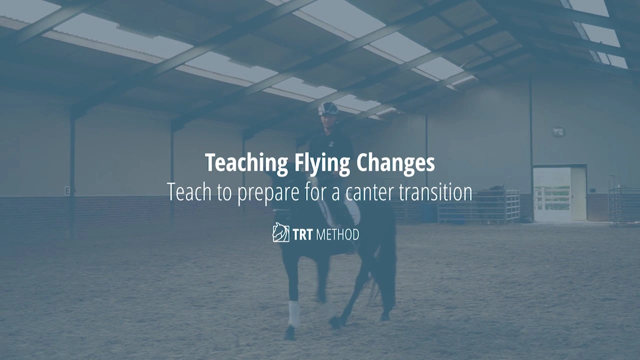 Flying Changes Course lesson