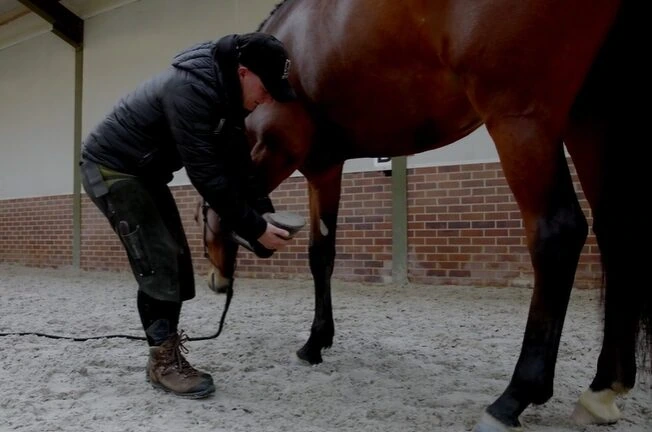 Farrier Course