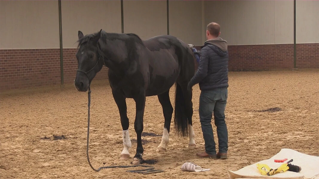 Clipping