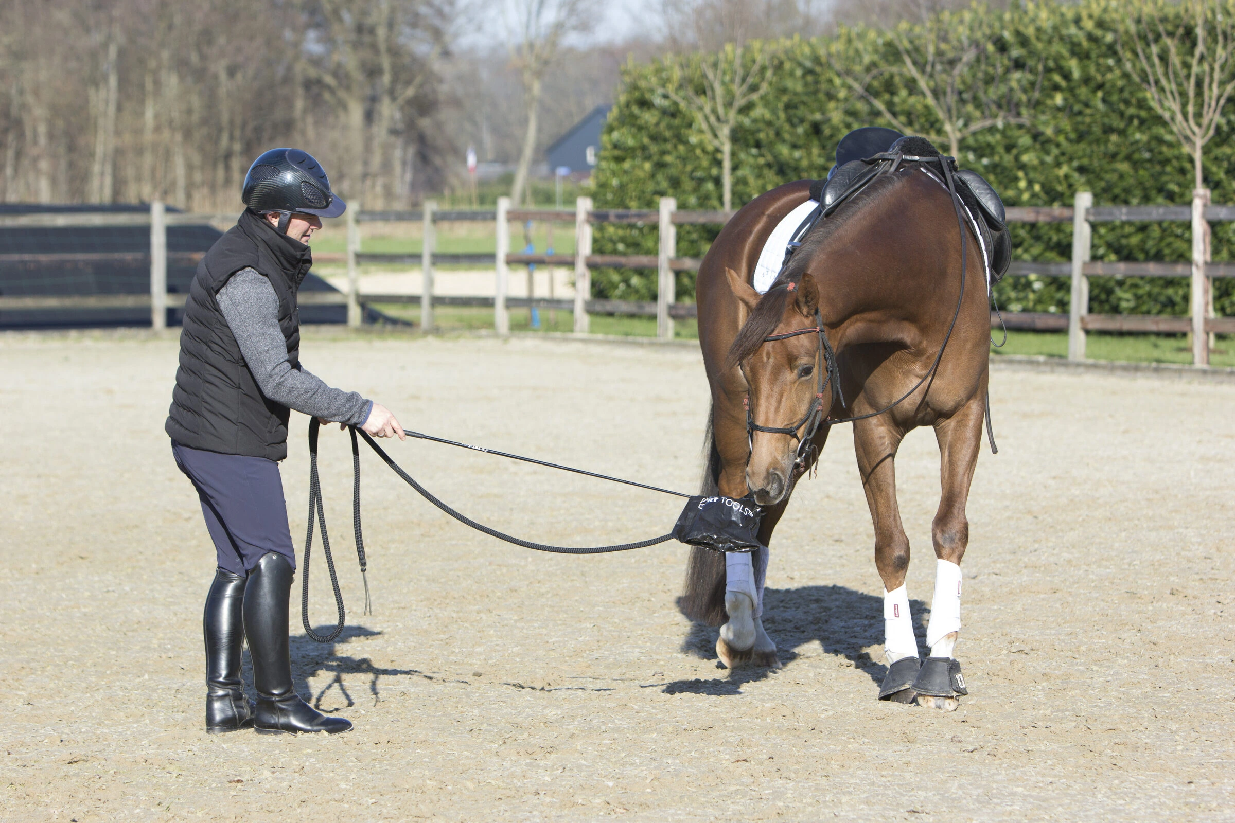 A rider helping a horse find relaxation from the ground