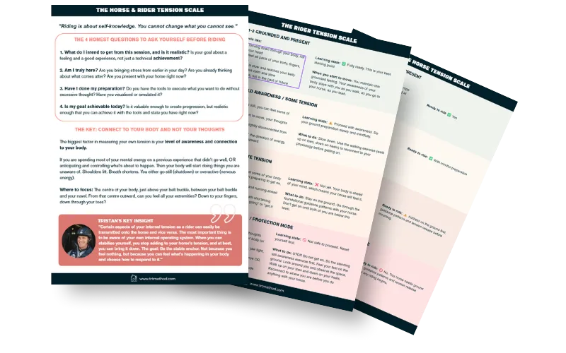 Preview of the TRT Tension Scale PDF
